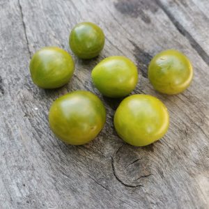 Семена Томата Грин черри Dwarf Green cherry