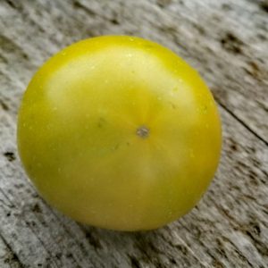 Семена томата Большой зеленый гном Big green dwarf