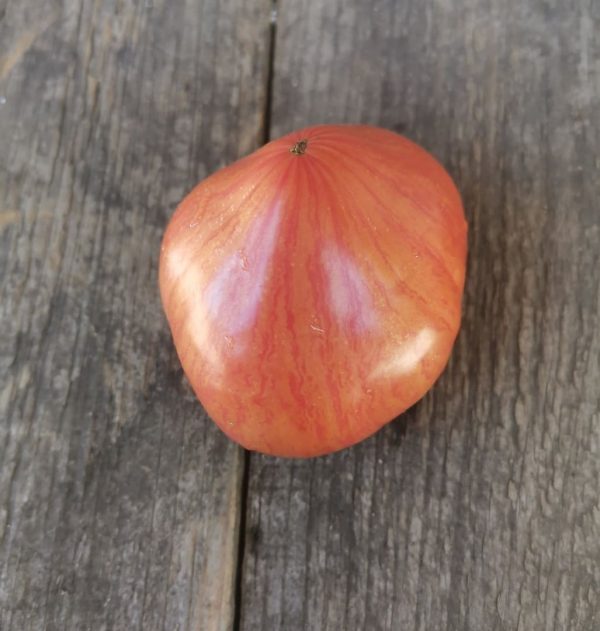 Семена томата Розовое полосатое сердце Пессака