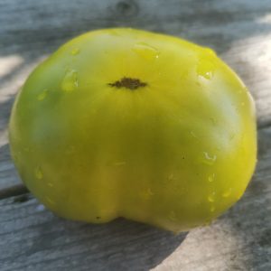 Семена томата гном Изумрудный гигант Dwarf Emerald Giant
