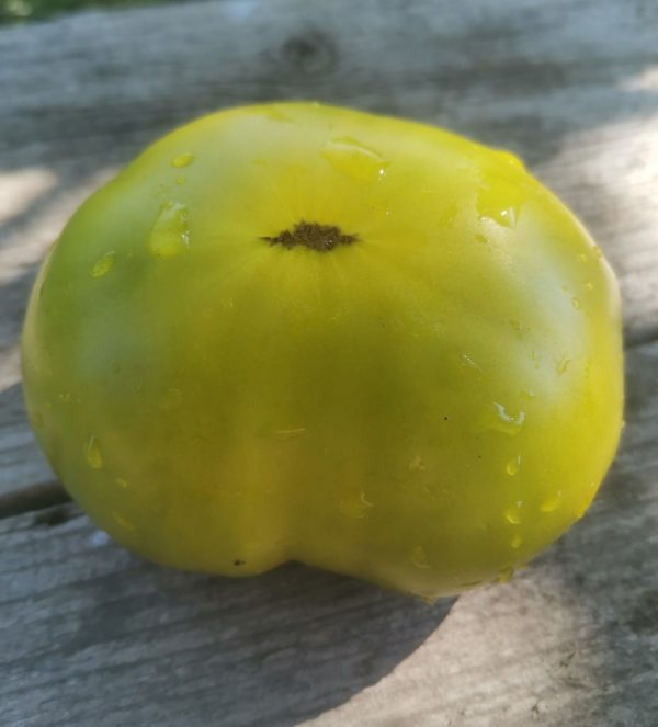 Семена томата гном Изумрудный гигант Dwarf Emerald Giant