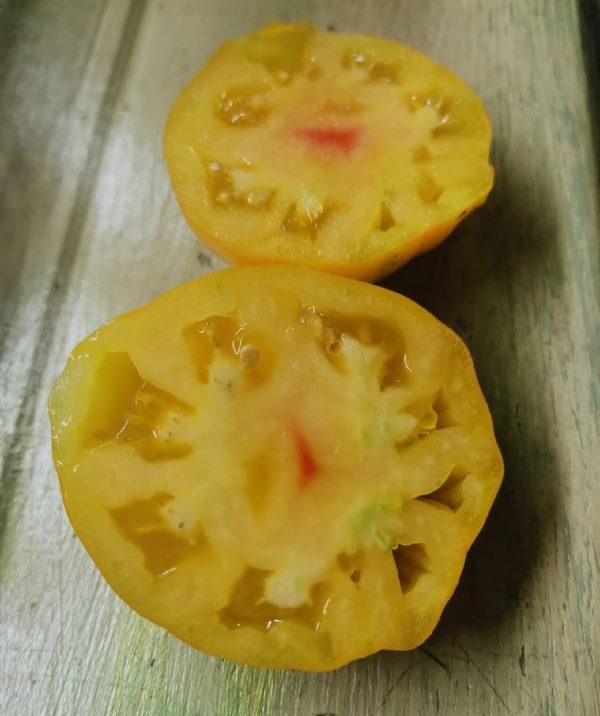 Семена томата Тогорифик Жёлтый Togorific Yellow