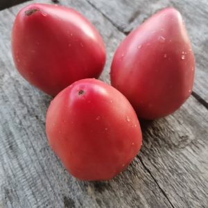 Семена томата Подсинские сердца
