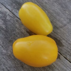 Семена томата Гном Банановые пальчики Dwarf Banana Toes