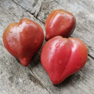 Семена томата гном Пурпурные сердца Бушерона