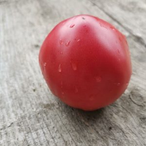 Семена томата гном Розовая страсть dwarf Pink Passion