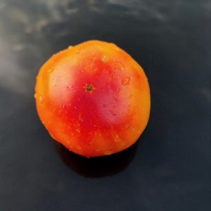 Семена томата Золотой Марципан Marzipan Gold
