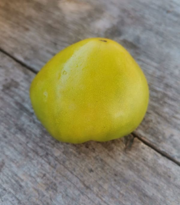 Семена томата гном Колониальный вариант dwarf Colonial yellow variant GWR