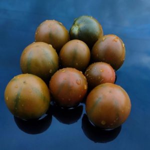 Семена томата Злая маслина (Олива) Evil Olive