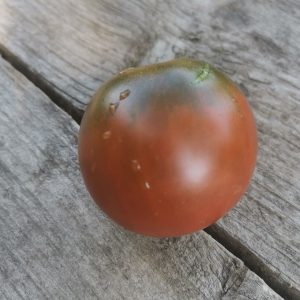 Семена томата гном Австралийская капля Dwarf Aussie Drop
