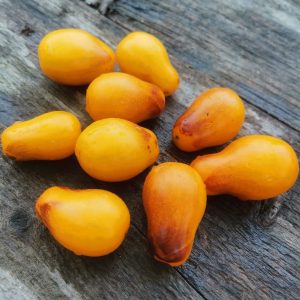 Семена томата Грушевые капли цвета индиго