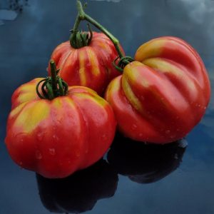 Семена томата Красный кошелёк
