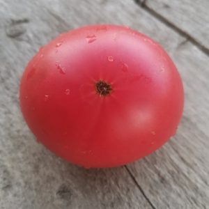 Семена томата Розовые щёчки