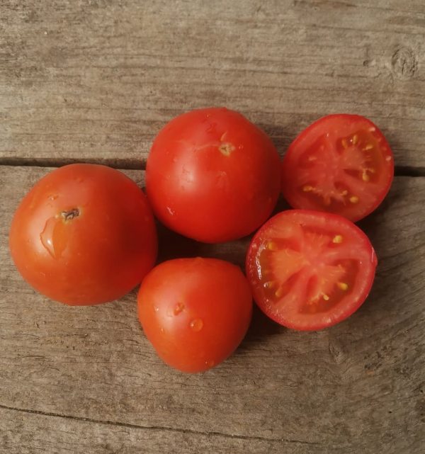 Семена томата Турецкий стелющийся