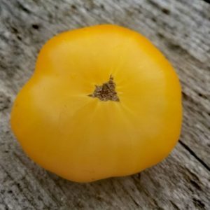 Семена томата гном Румпельштильскин Dwarf Rumpelstiltskin
