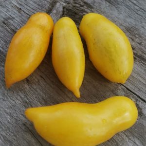 Семена томата Банановые ноги