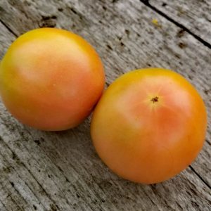 Семена томата Долгохранящийся преподобного Морроу