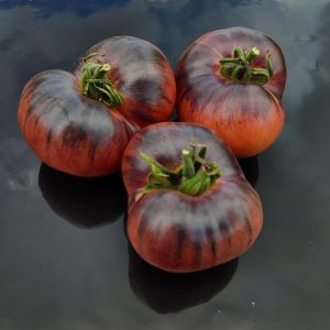 Семена томата Лазурный гигант