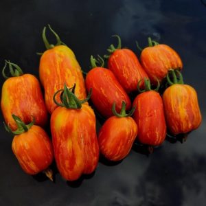 Семена томата Перцевидный полосатый