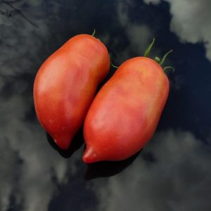 Семена томата Бычье сердце минусинское кистевое