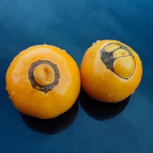 Семена томата Сладкий оранжевый Озарк