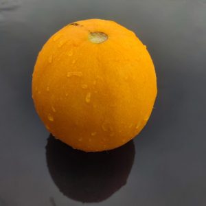 Дыня Апельсинка