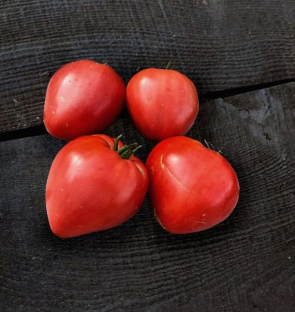 Семена томата Бычье сердце Минусинское