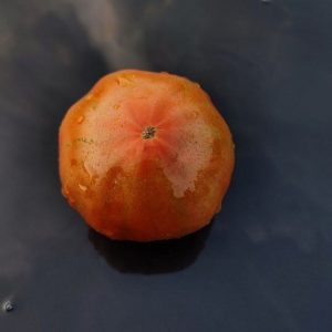 Семена томата Полярная звезда